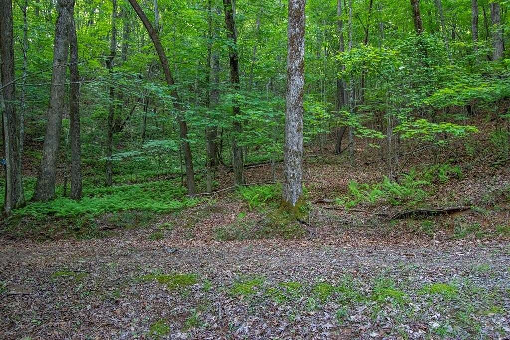 1.35 Acres of Residential Land for Sale in Brasstown, North Carolina