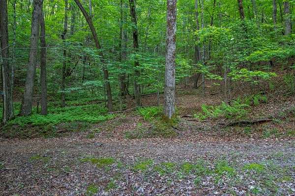 1.35 Acres of Residential Land for Sale in Brasstown, North Carolina