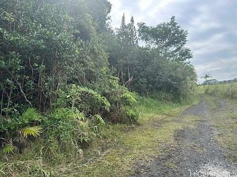 36 Acres of Land for Sale in Mountain View, Hawaii