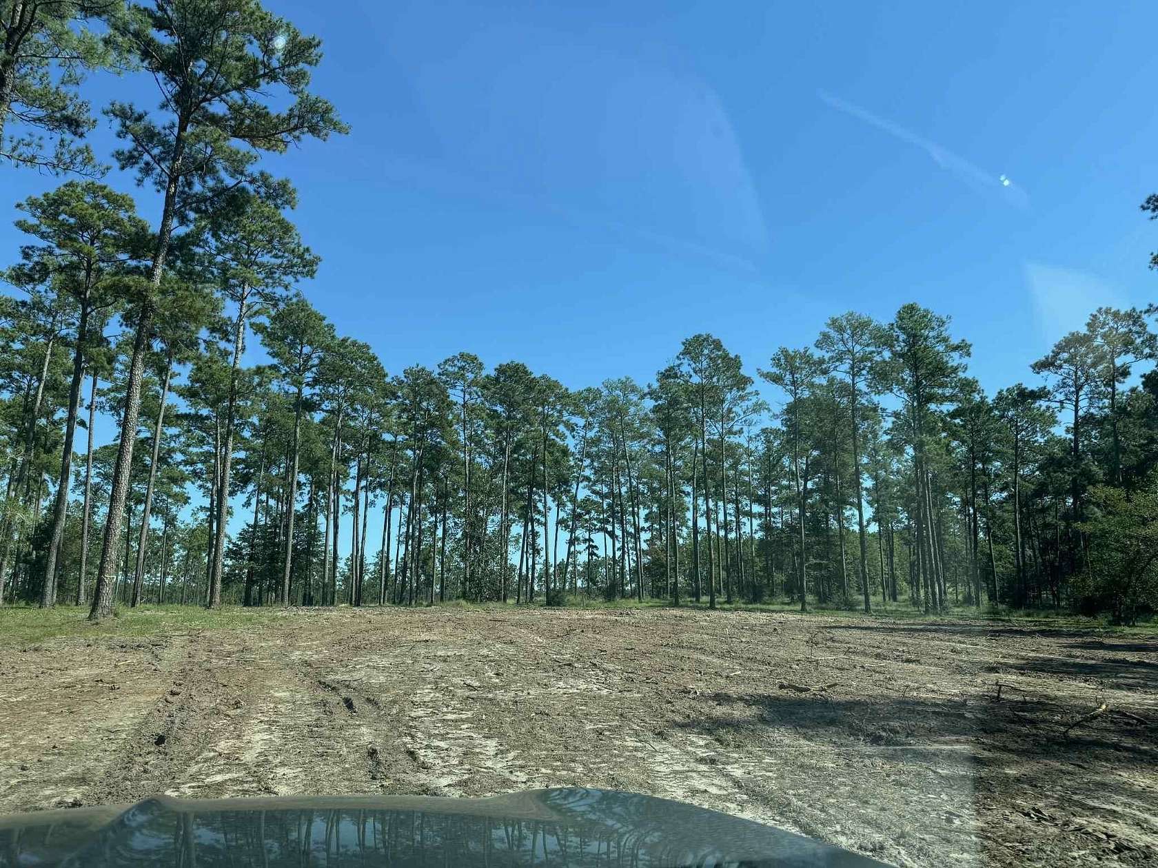 Land for Sale in Brookeland, Texas