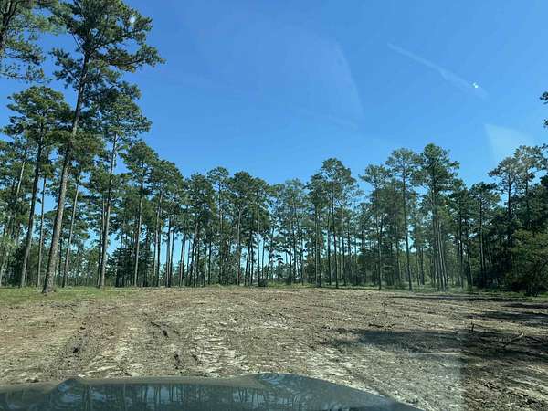 Land for Sale in Brookeland, Texas