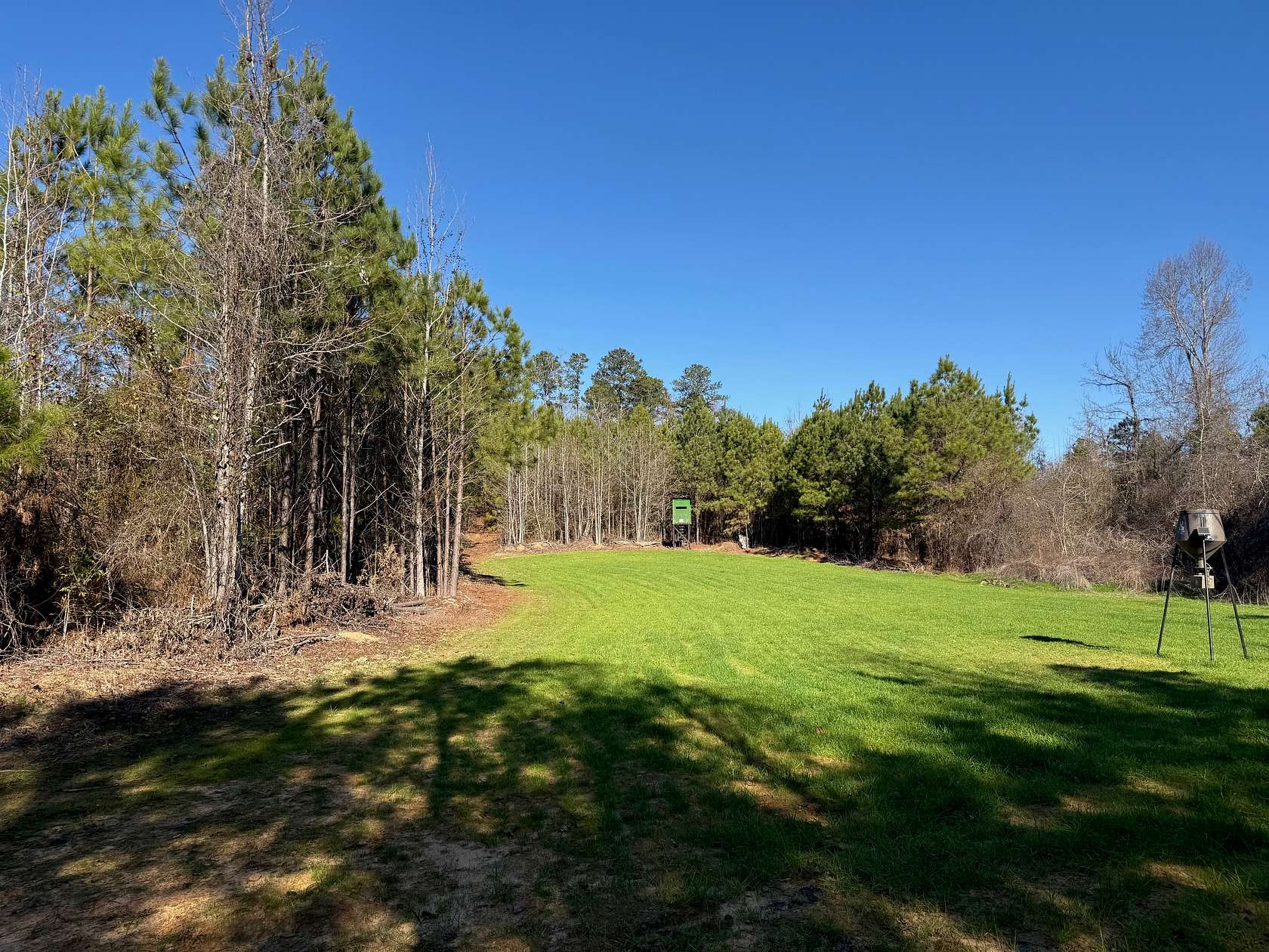 183 Acres of Land for Sale in Moundville, Alabama