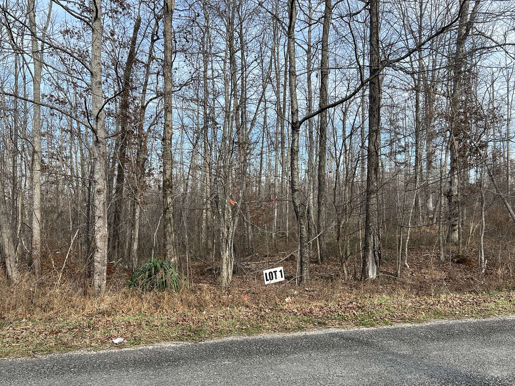 7 Acres of Land for Sale in Primm Springs, Tennessee
