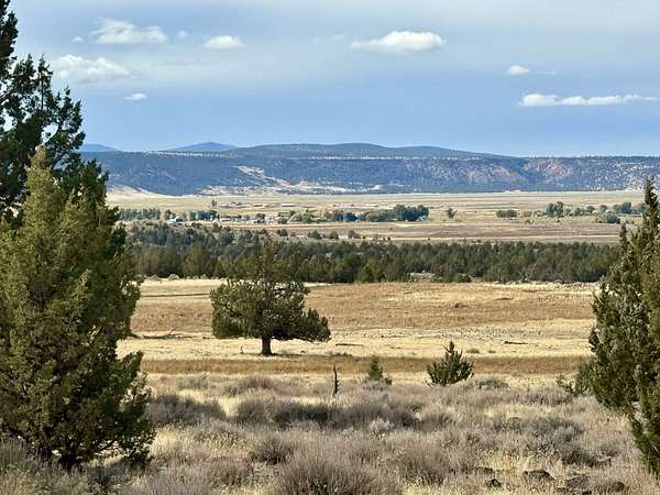 40 Acres of Recreational Land & Farm for Sale in Likely, California