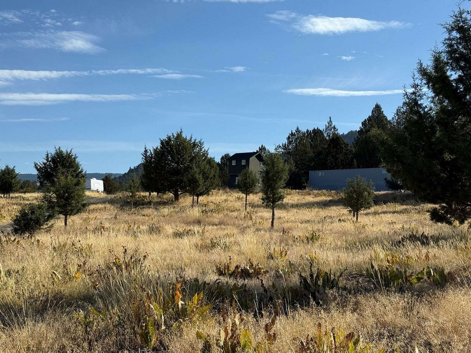 20 Acres of Land for Sale in Alturas, California