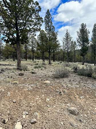 1.5 Acres of Residential Land for Sale in Alturas, California