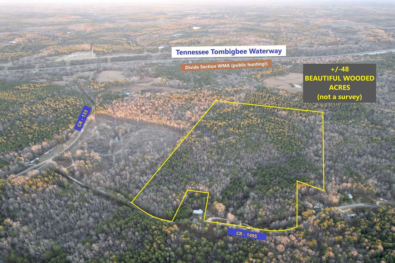 48 Acres of Land for Sale in Burnsville, Mississippi