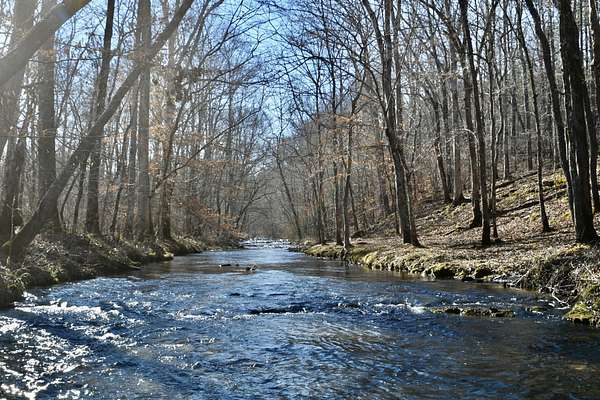 1,937 Acres of Recreational Land for Sale in Hohenwald, Tennessee