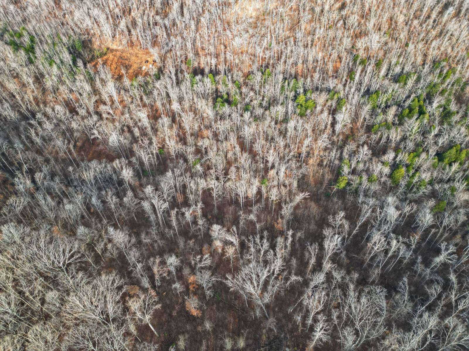 2.7 Acres of Residential Land for Sale in Waverly, Tennessee