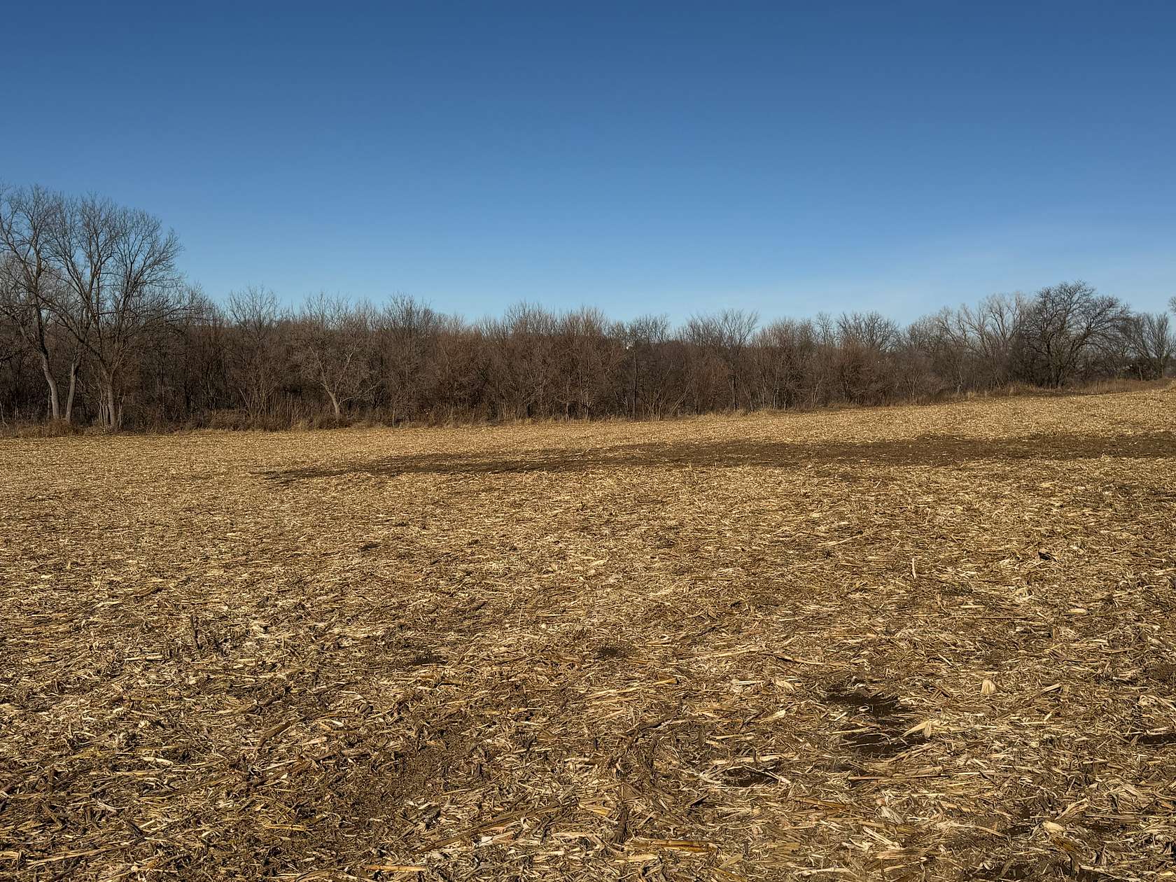 7.79 Acres of Residential Land for Sale in Glenwood, Iowa