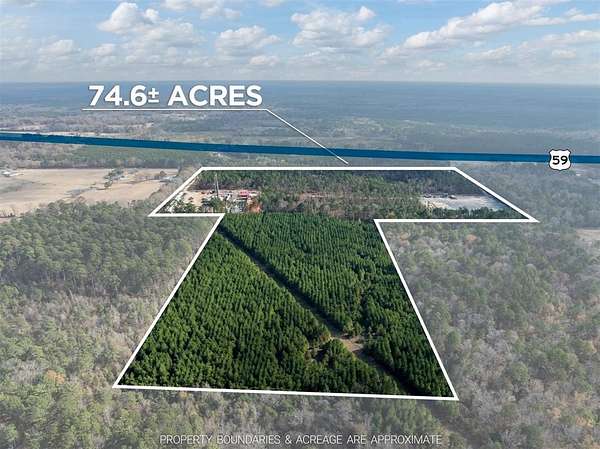 74.6 Acres of Land for Sale in Marshall, Texas