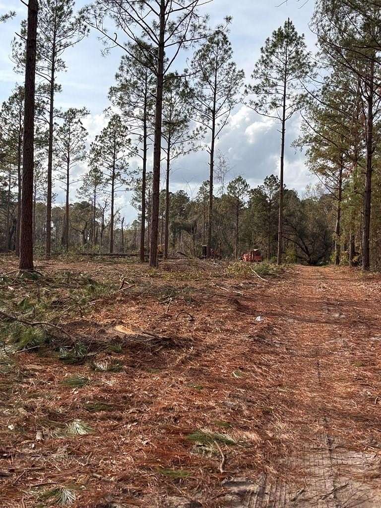 64.8 Acres of Land for Sale in Hahira, Georgia