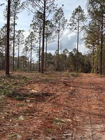 64.8 Acres of Land for Sale in Hahira, Georgia