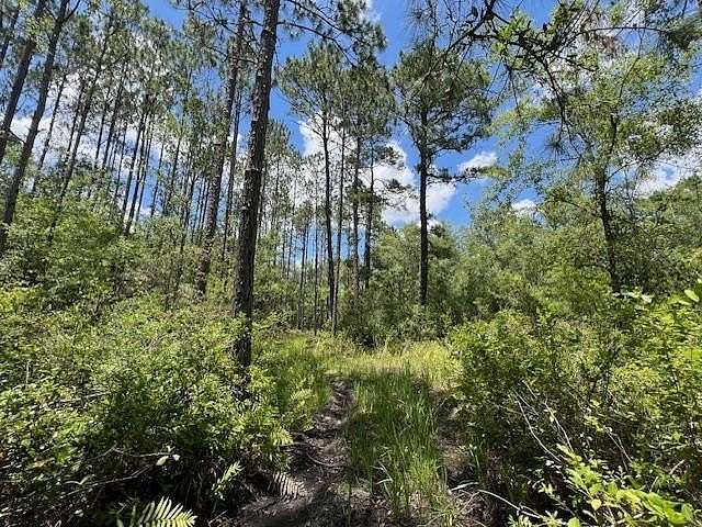 3.19 Acres of Land for Sale in Greenville, Florida