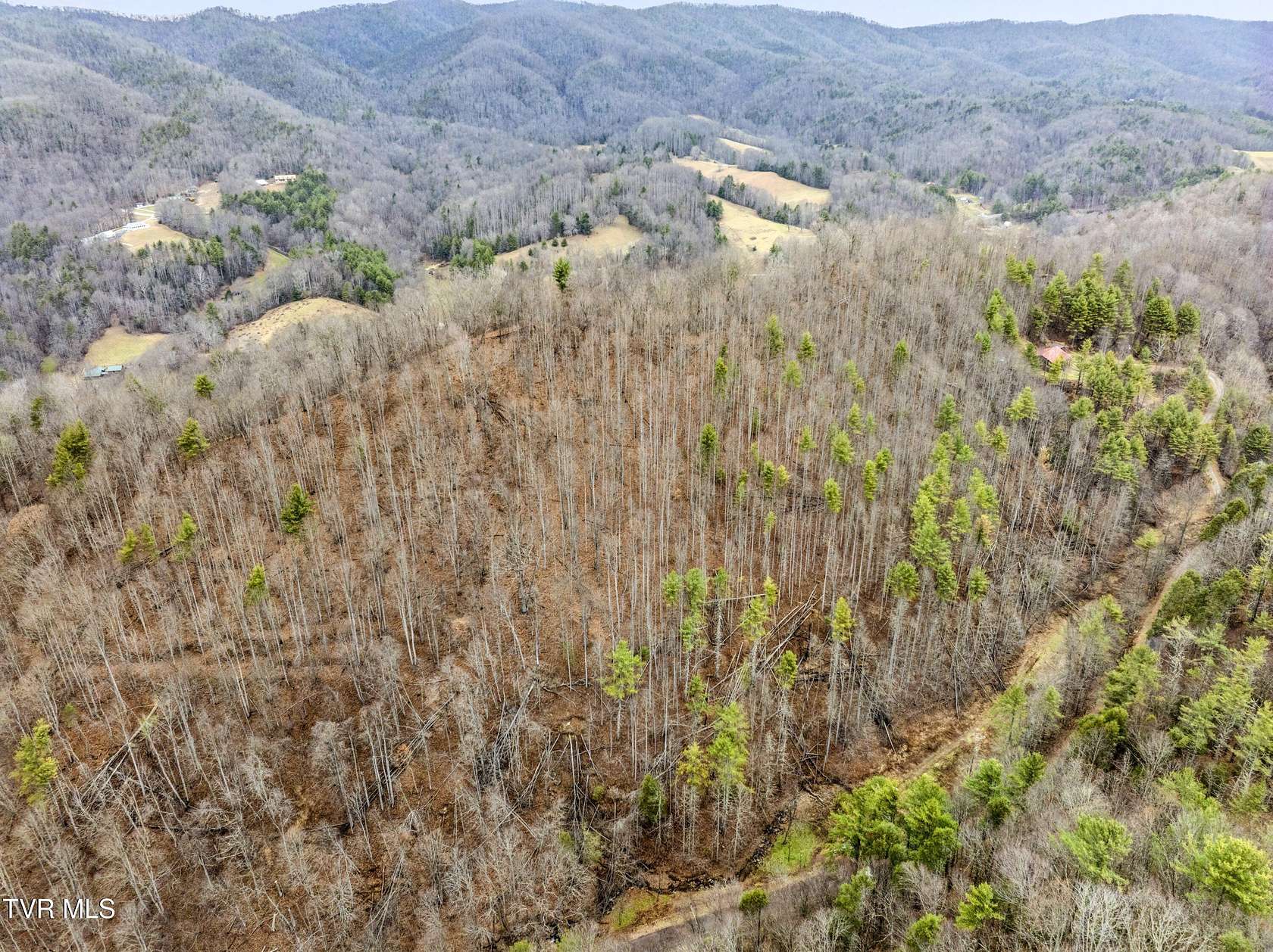 11.2 Acres of Land for Sale in Mountain City, Tennessee