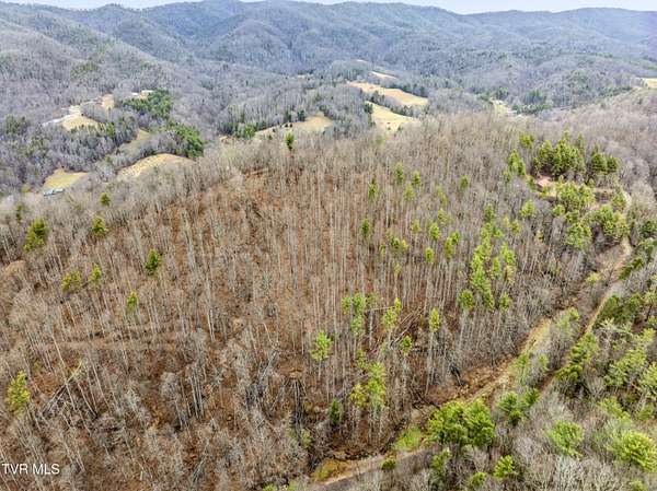 11.2 Acres of Land for Sale in Mountain City, Tennessee