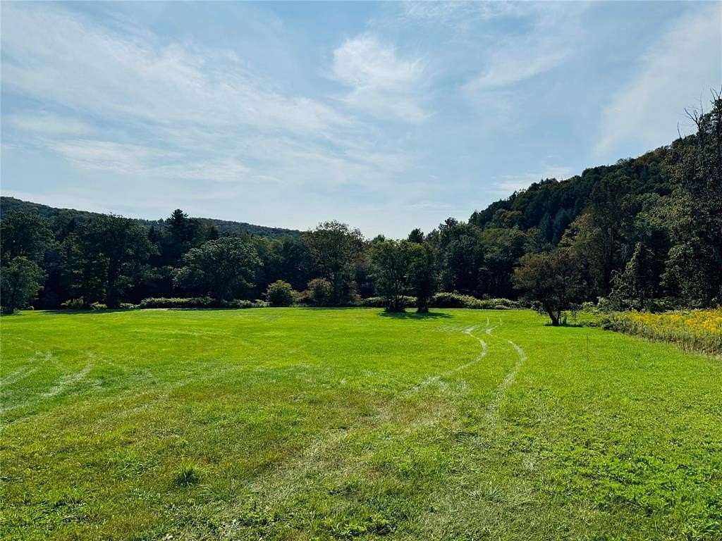 18 Acres of Recreational Land for Sale in Hancock, New York