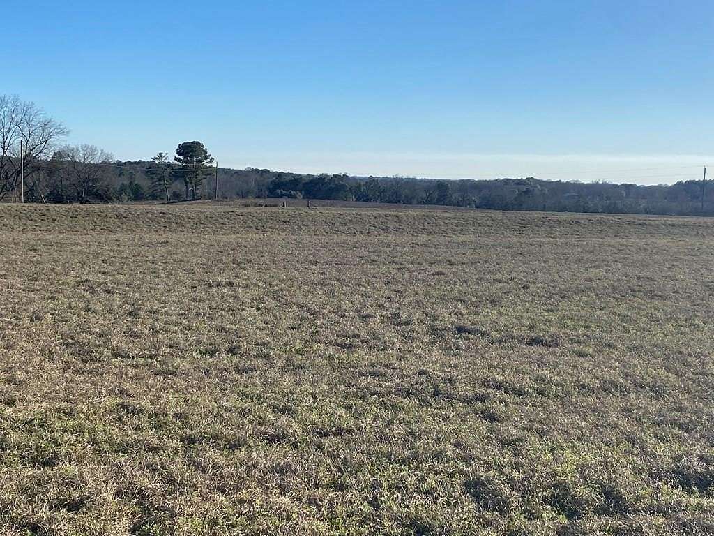 64.6 Acres of Agricultural Land for Sale in Brundidge, Alabama
