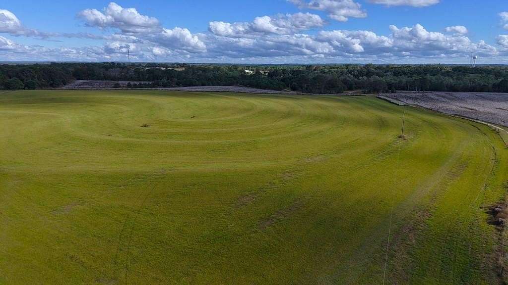 64.6 Acres of Agricultural & Residential Land for Sale in Brundidge, Alabama