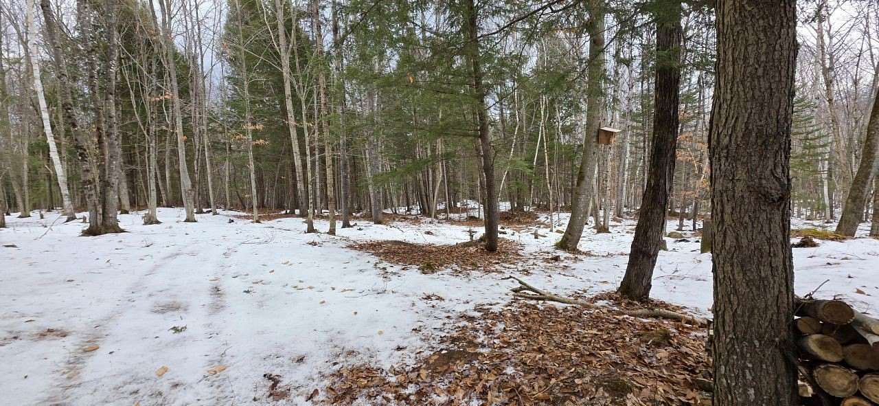 9.84 Acres of Residential Land for Sale in Sumner, Maine
