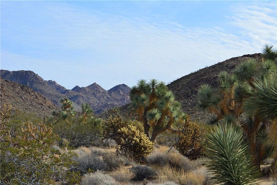 4.55 Acres of Residential Land for Sale in Yucca, Arizona