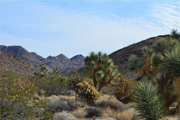 4.55 Acres of Residential Land for Sale in Yucca, Arizona