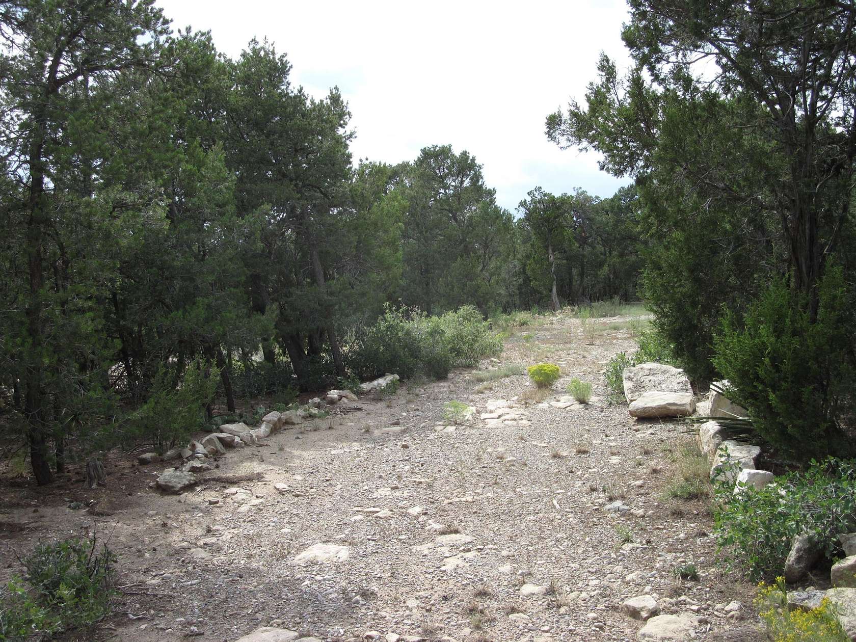 1 Acre of Land for Sale in Tijeras, New Mexico