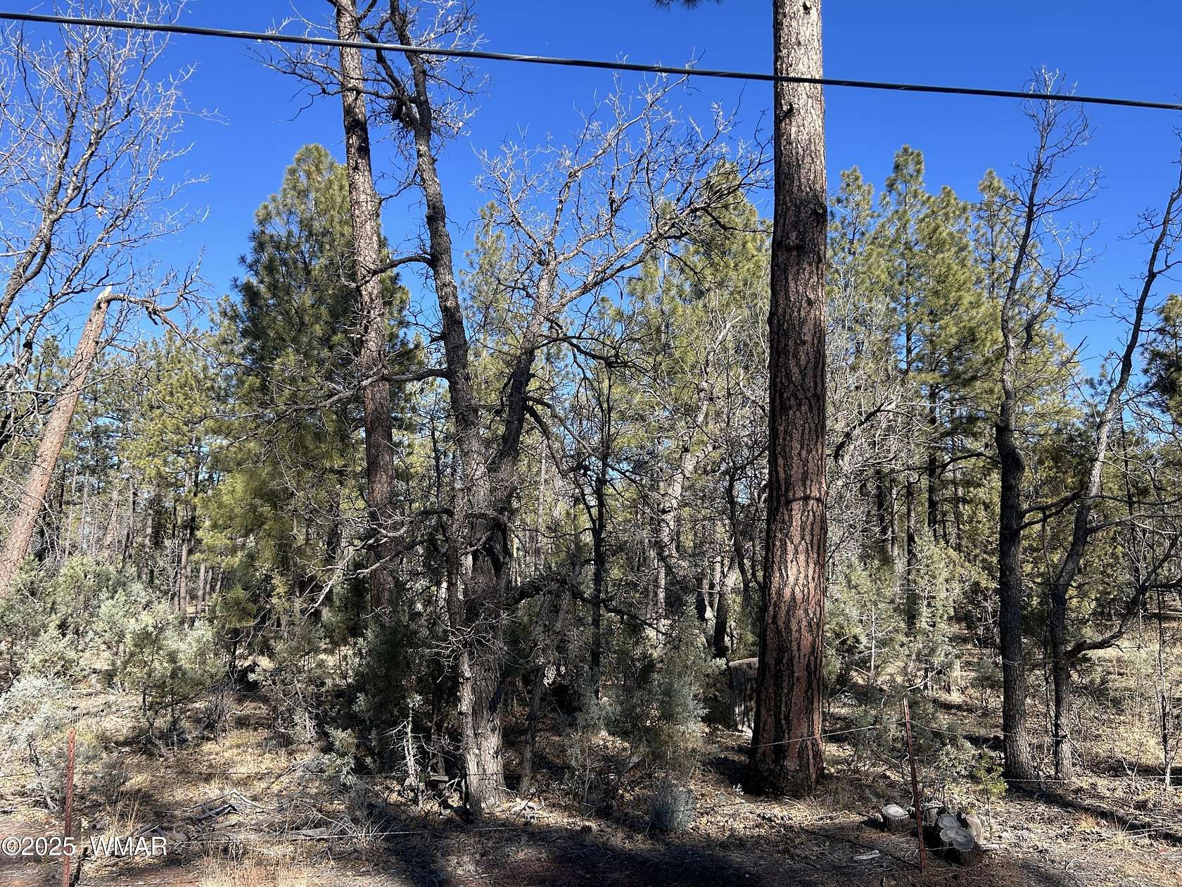 1.36 Acres of Residential Land for Sale in Lakeside, Arizona