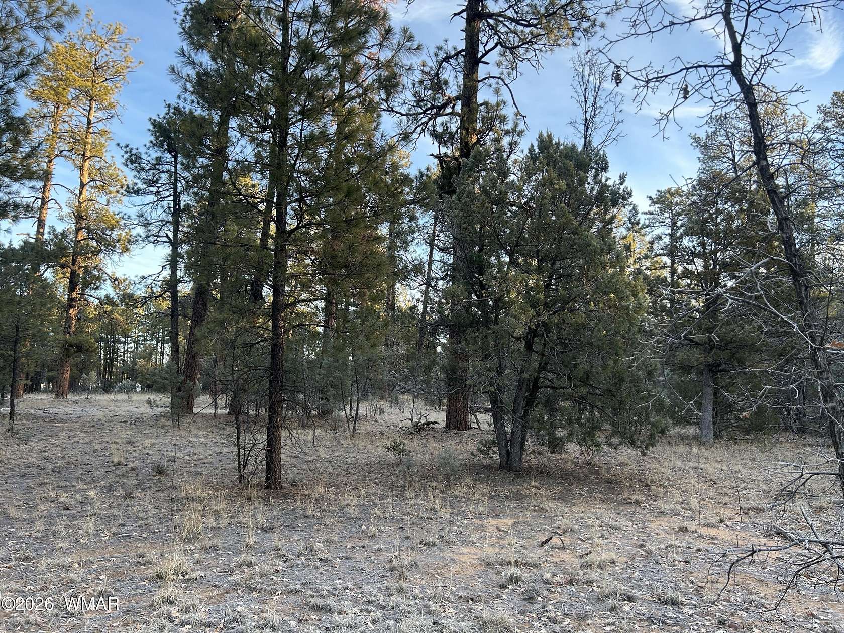 1.36 Acres of Residential Land for Sale in Lakeside, Arizona