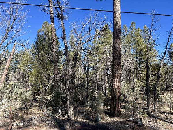 1.36 Acres of Residential Land for Sale in Lakeside, Arizona