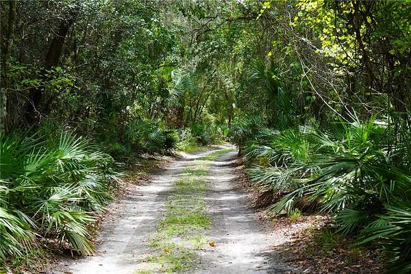 18 Acres of Land for Sale in Deltona, Florida