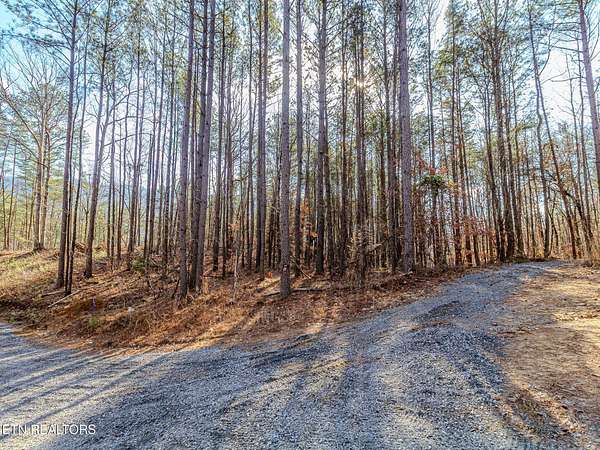 0.55 Acres of Residential Land for Sale in Benton, Tennessee