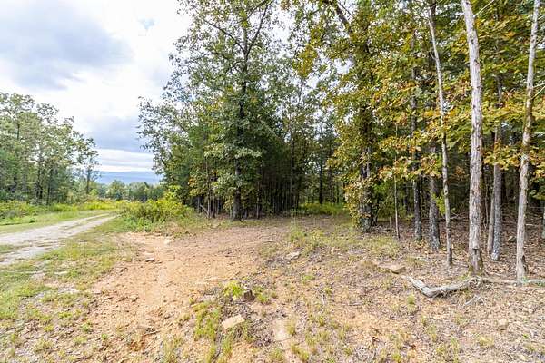 6.25 Acres of Residential Land for Sale in New Blaine, Arkansas