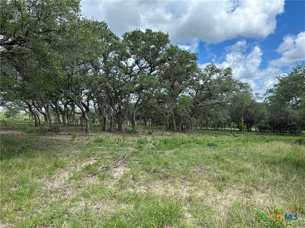 16.4 Acres of Land for Sale in Goliad, Texas