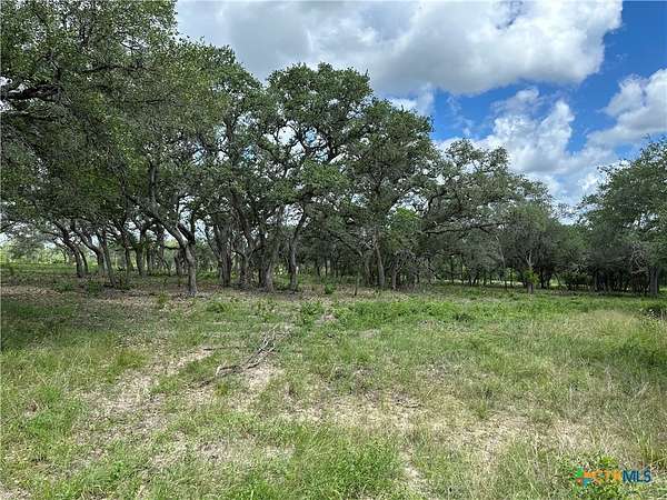 16.4 Acres of Land for Sale in Goliad, Texas