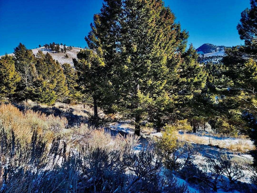 19.9 Acres of Land for Sale in Basin, Montana