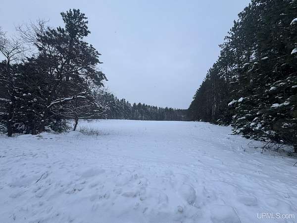 18 Acres of Recreational Land for Sale in Norway, Michigan