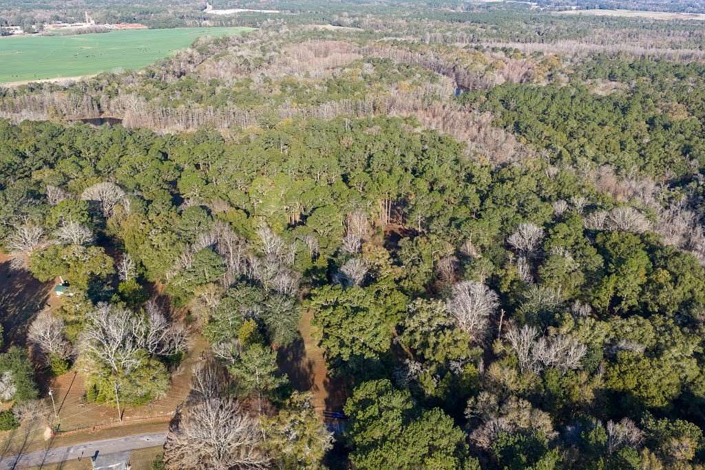 18 Acres of Recreational & Residential Land for Sale in Geneva, Alabama