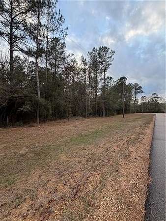 7 Acres of Residential Land for Sale in Amite, Louisiana