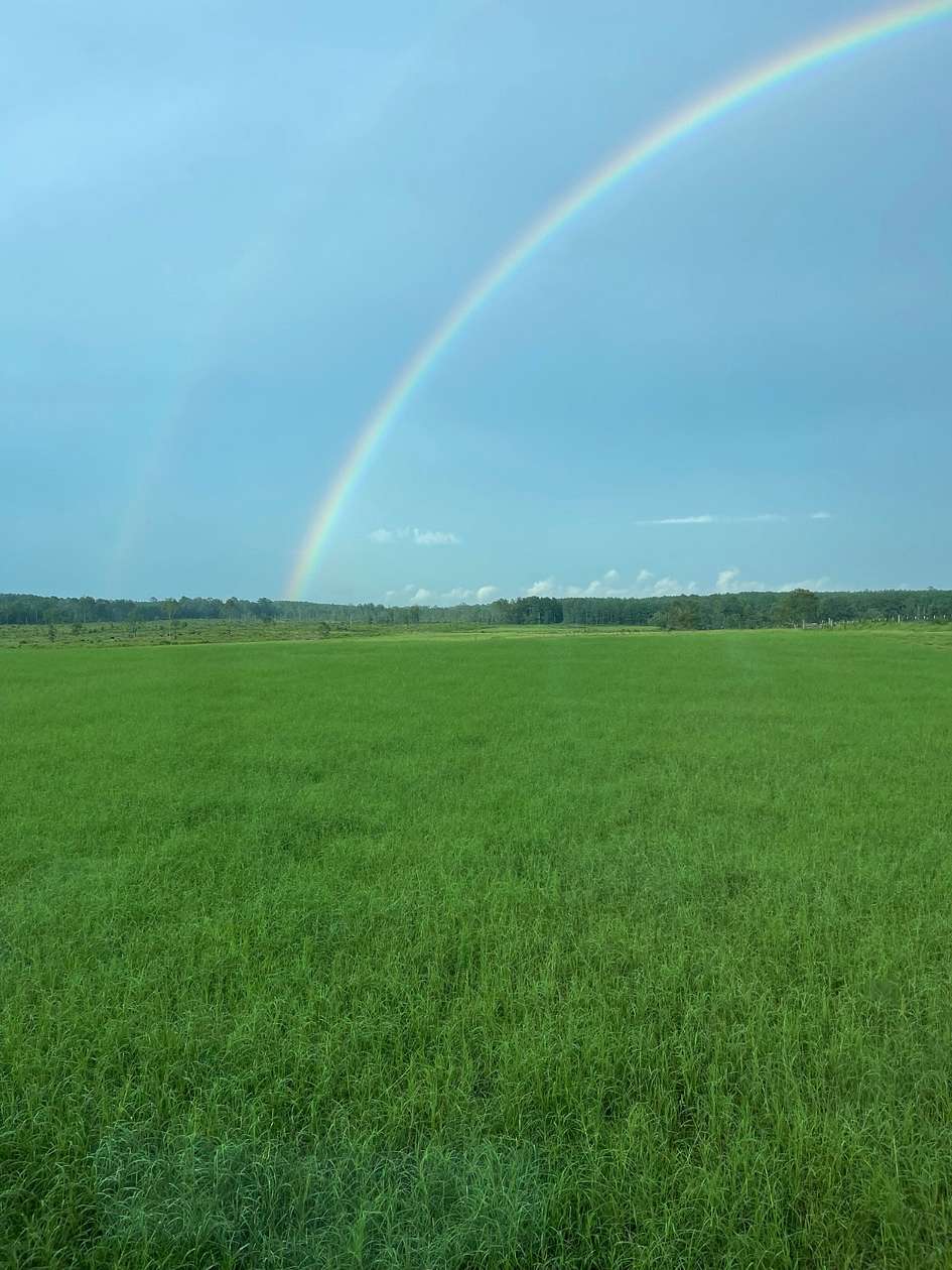 21 Acres of Agricultural Land for Sale in Many, Louisiana