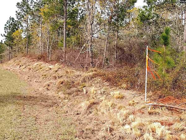 25 Acres of Recreational Land for Sale in Batesburg, South Carolina