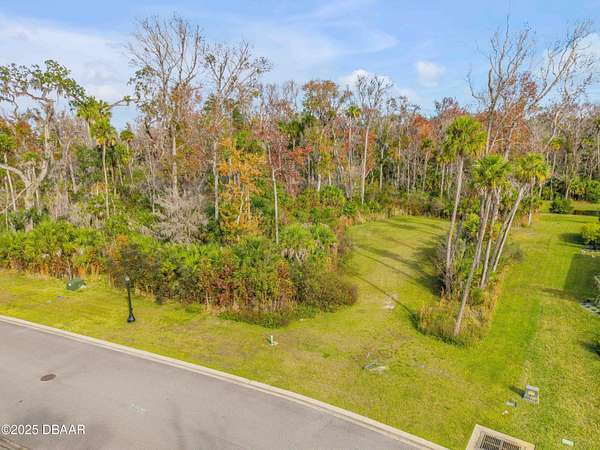 1 Acre of Residential Land for Sale in New Smyrna Beach, Florida