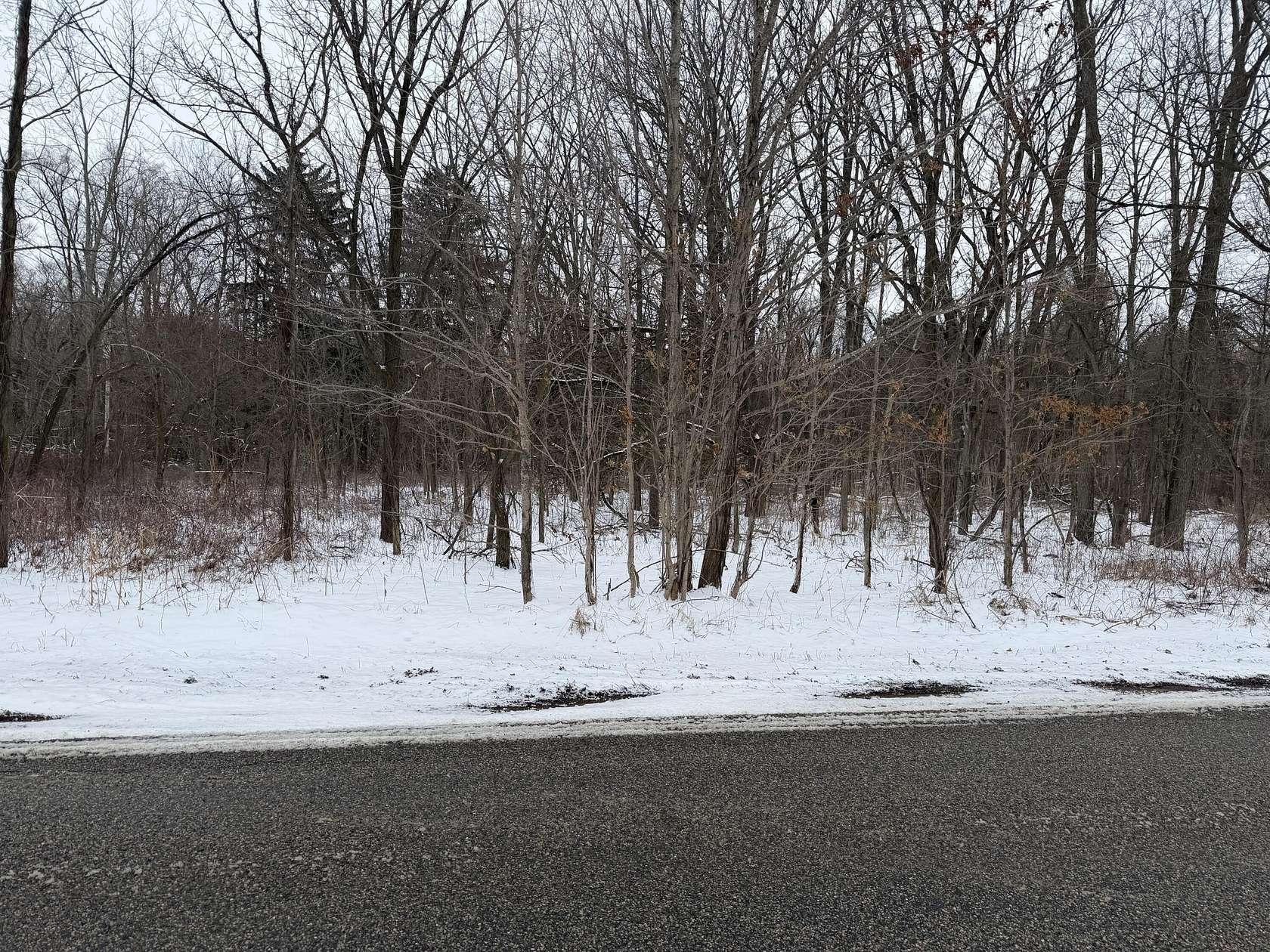 38 Acres of Land for Sale in Coldwater, Michigan