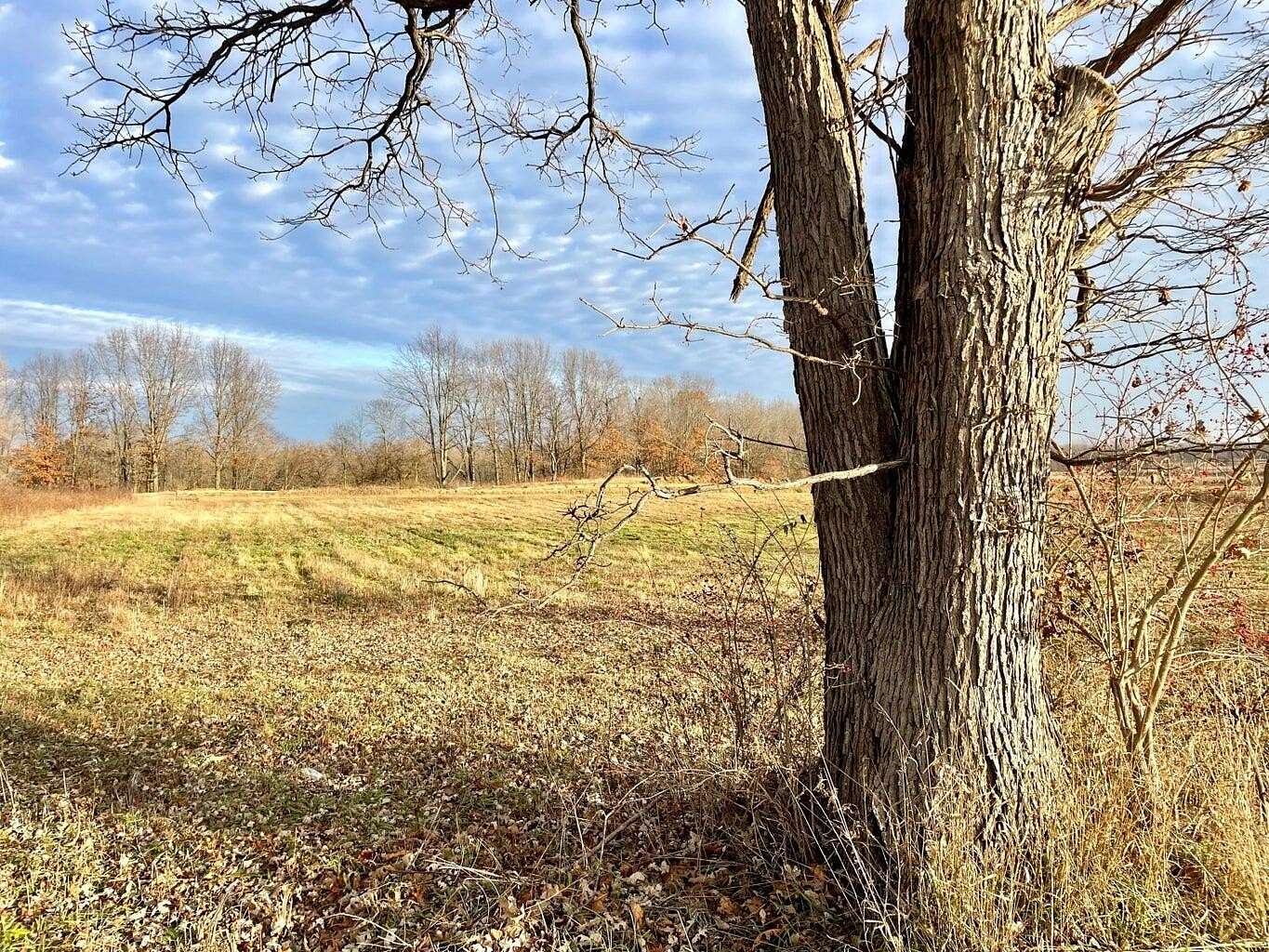 2.3 Acres of Residential Land for Sale in Saline, Michigan