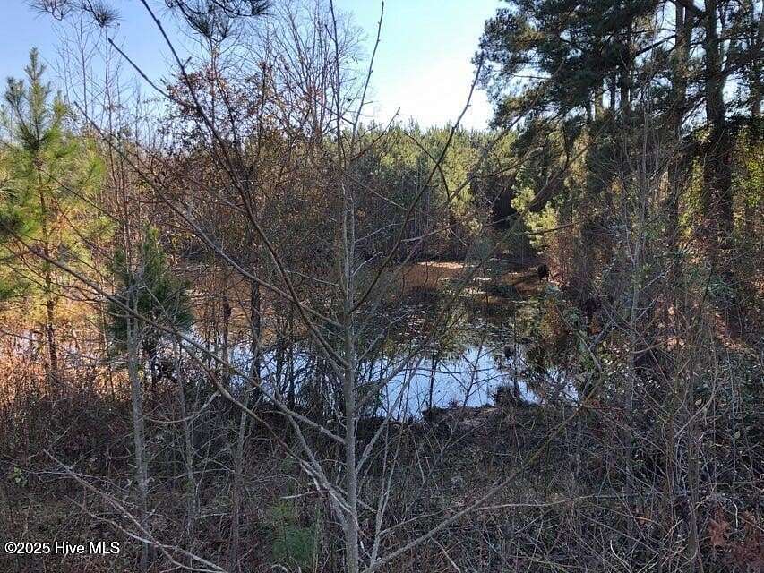 93.3 Acres of Recreational Land with Home for Sale in Rockingham, North Carolina