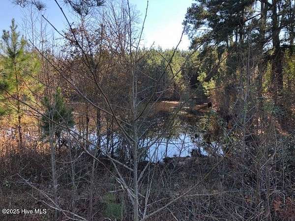 93.3 Acres of Recreational Land with Home for Sale in Rockingham, North Carolina