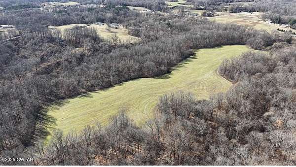 52.9 Acres of Land for Sale in Ripley, Tennessee