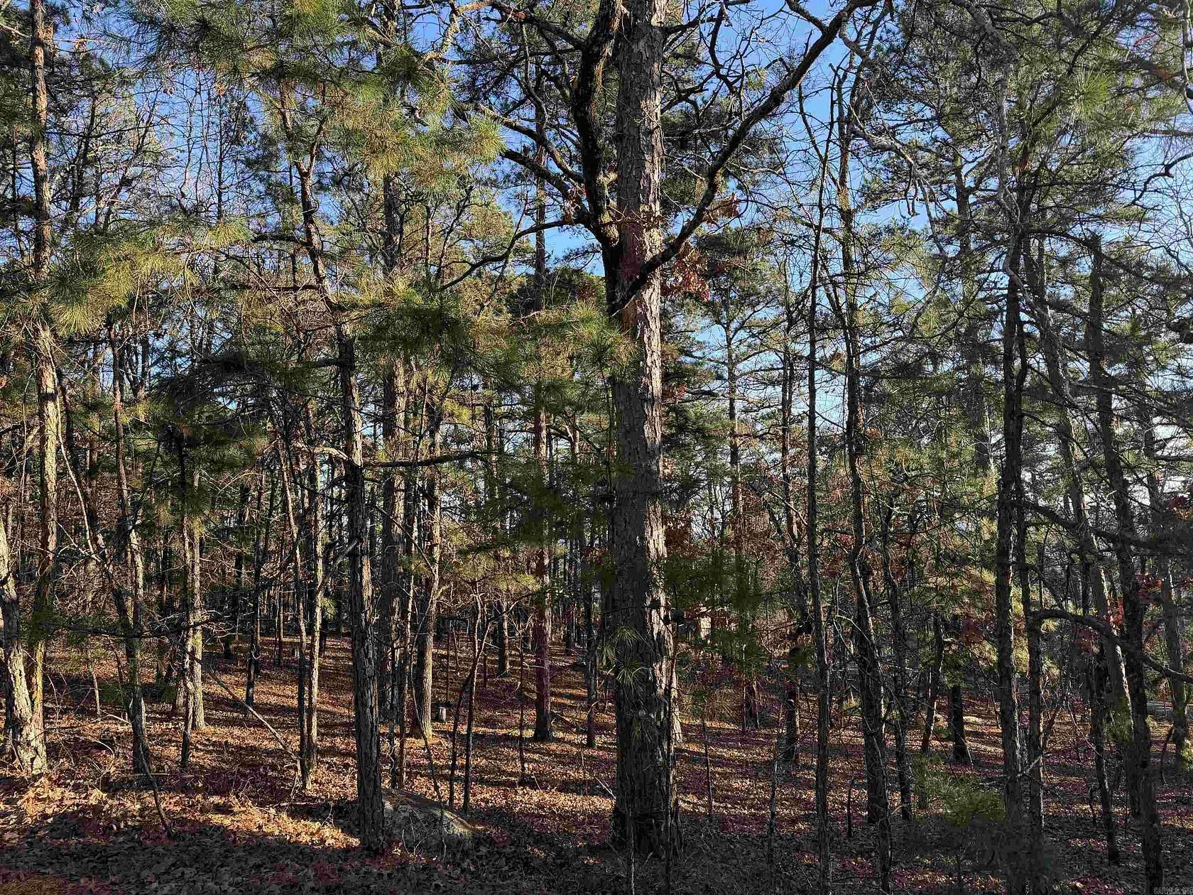 0.2 Acres of Residential Land for Sale in Hot Springs Village, Arkansas