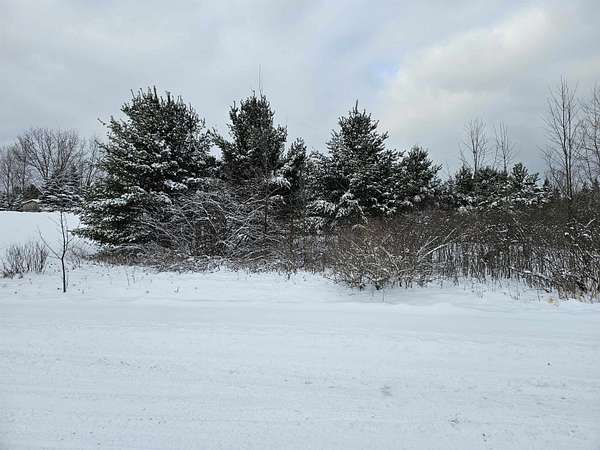 0.47 Acres of Residential Land for Sale in Gladwin, Michigan
