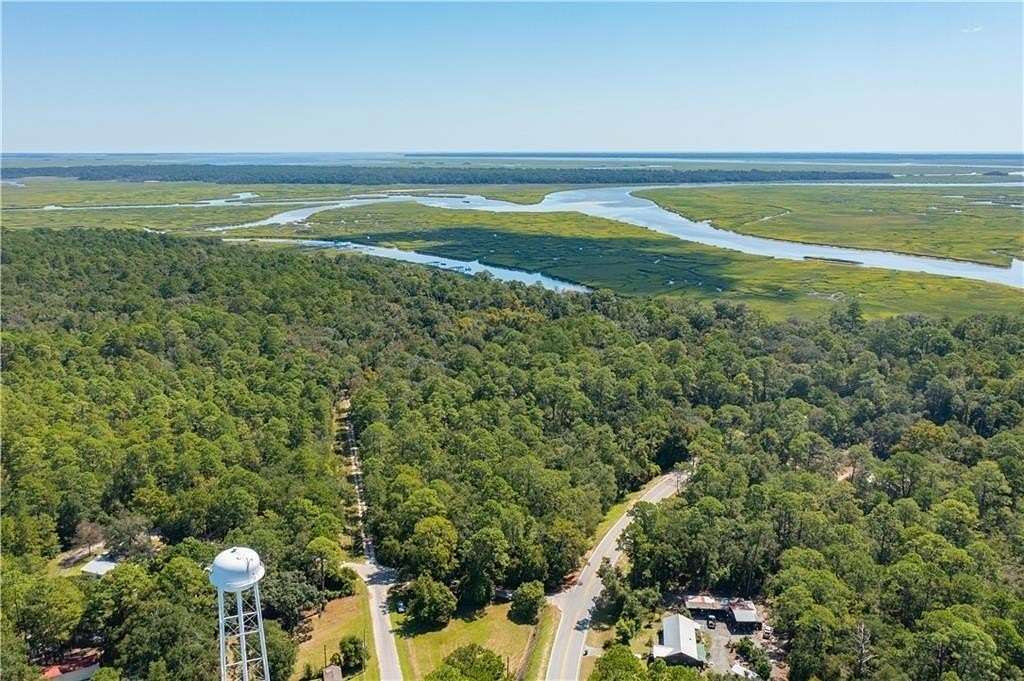 12.8 Acres of Land for Sale in Townsend, Georgia